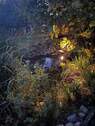 Fischteich - 