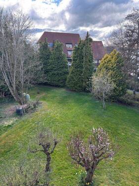 Blick in Garten - 