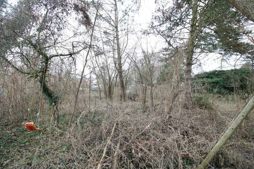 IMG_2535 - Grundstück in Berlin