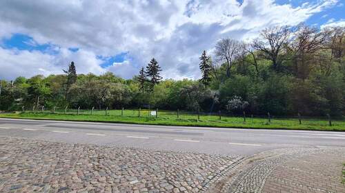 BILD2 - Grundstück zum Kaufen in Oderberg