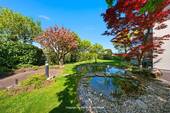Gartenteich - 