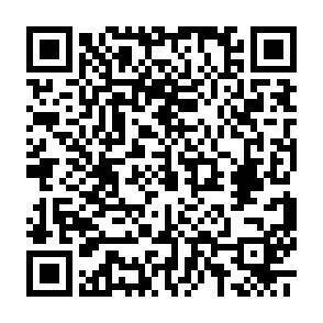QR-Code - 