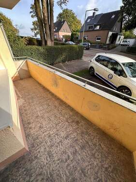 PHOTO-2025-08-04-16-06-53 (1).jpg - 