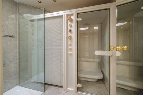 Dampfsauna mit Dusche - 