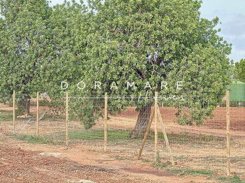 sa-comuna_00007_adcd3ec - 