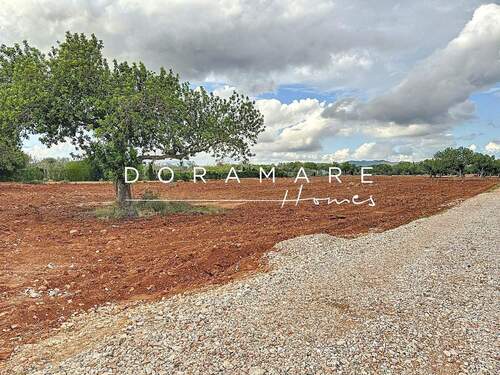 TERRENO - Grundstück in Campos