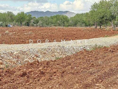 sa-comuna_00002_dfc383e - 