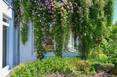 Bild 19 - 