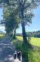 Bild 16 - 