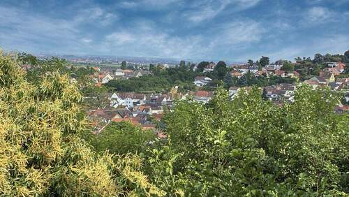 Aussicht vom Balkon Richtung Süden - 