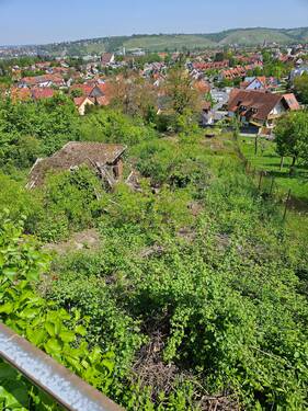 20240430_125614.jpg - Investition in die Zukunft - 45.000,00 EUR Kaufpreis, ca.  0,00 m²