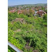 Investition in die Zukunft - 45.000,00 EUR Kaufpreis, ca.  0,00 m² in Würzburg (PLZ: 97084) Heidingsfeld