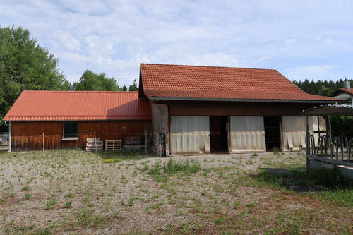 Bild5 - 