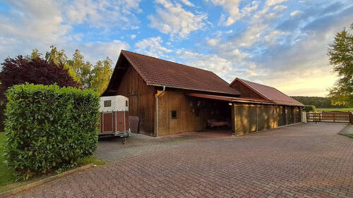 Bild8 - 