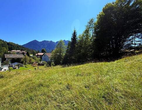 Weitläufiges Grundstück - 