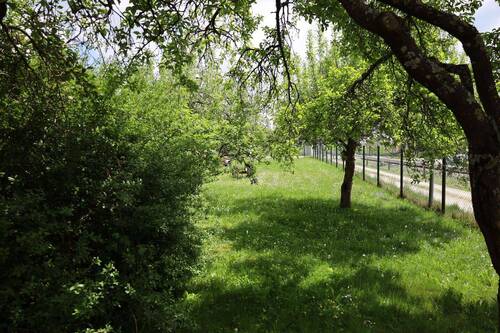 Ansicht 2 - Grundstück zum Kaufen in Hechingen