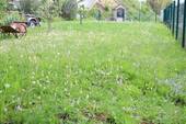 Ansicht 5 - 
