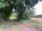 Wald - 