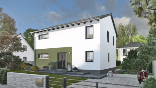 Ansicht mit SD-Eingang - Schick und gradlinig - die perfekte Form zum stadtnahen Wohnen