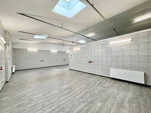 Produktions- und Verarbeitungsfläche - Halle in Pfungstadt zur Miete