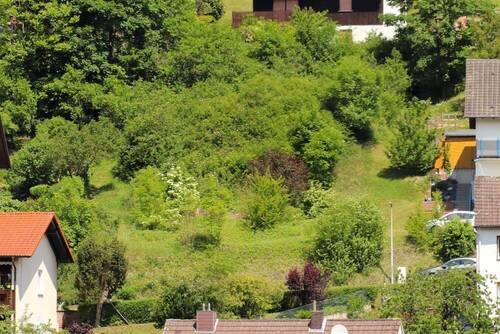 Grundstück nah - Grundstück in Ringgau zum Kaufen