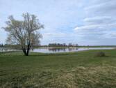 Naturnah zur Elbe - 