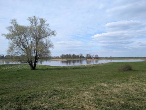Naturnah zur Elbe - 