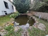 Gartenteich - 