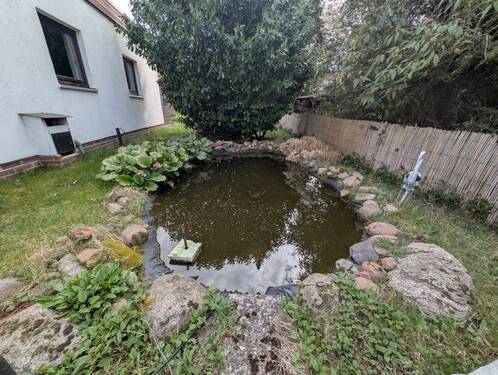 Gartenteich - 