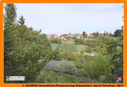 Blick vom Terrassengarten - Doppelhaushälfte mit großem Grundstück in idyllischer Höhenlage von Meißen
