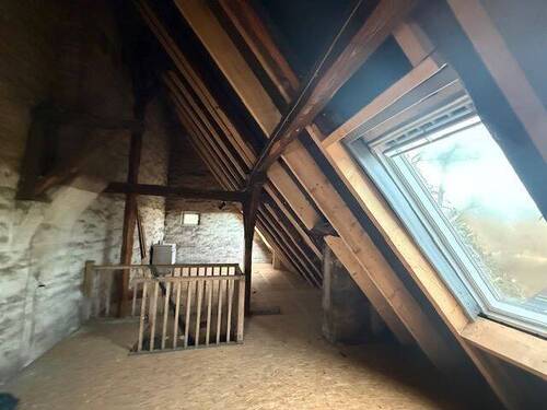 IMG_7482 - 