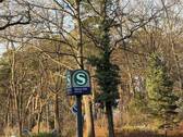 IMG_7446 - 