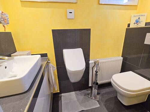 Gäste WC Ansicht 1.jpg - 