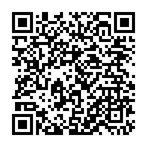 QR-Code - 