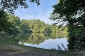 Karpfenteisch - 