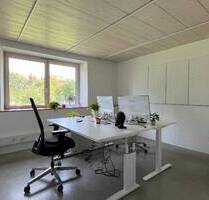 Traumhafter Büroraum mit Full-Service - All-in-Miete - Tübingen Derendingen