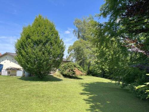 Weitläufiger Garten - Einfamilienhaus mit 179,00 m&sup2; in Heimbuchenthal zum Kaufen