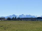 Ausblick - 