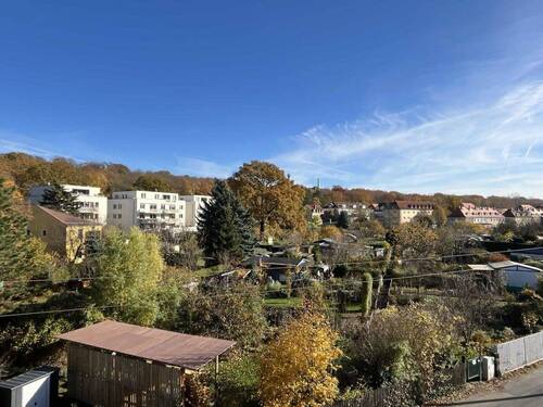 Ausblick über Gärten - 