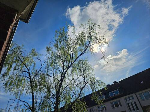 20260420_160607.jpg - 