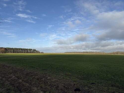 unmittelbare Umgebung - 