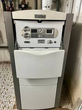 Groß (IMG_2489).jpeg - 