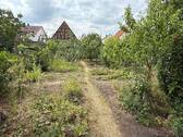 Obstgarten hinter der Scheune - 