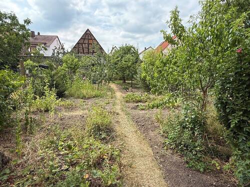 Obstgarten hinter der Scheune - 