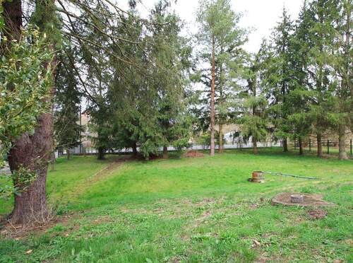 Ansicht Grundstück - 3 Zimmer Bungalow zum Kaufen in Bad Sulza