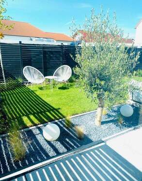 2. Olivenbaum im Garten - 