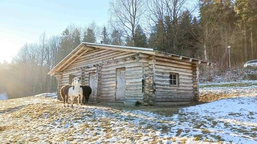 Stallung für Lamas - 