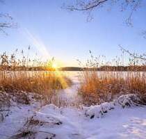 Familienfreundliche Doppelhaushälfte im Naturschutzgebiet, nahe Berlin & Potsdam - Ludwigsfelde Gröben