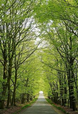 Dresdner Heide - 4-Raum Wohnung mit Terrasse & Garten in Ullersdorf!