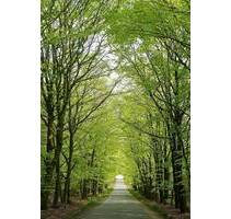 Sanierte Terrassenwohnung mit eigenem Garten an der Dresdner Heide! - Ullersdorf